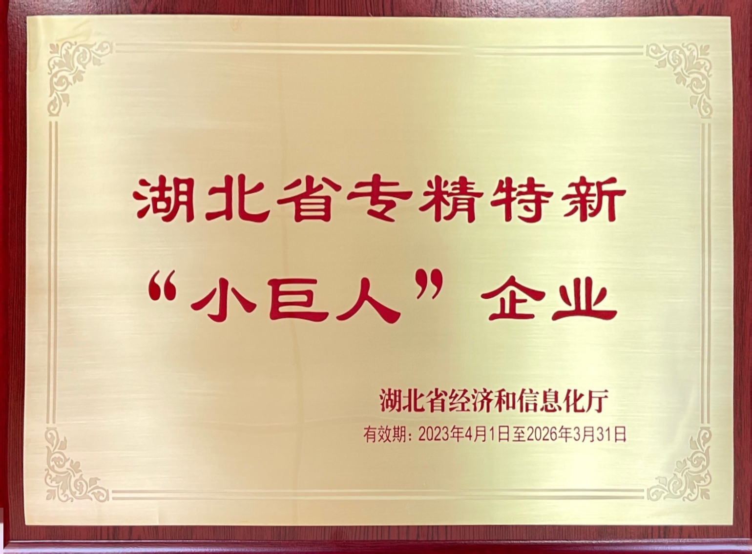 湖北省專(zhuān)精特新“小巨人”企業(yè)